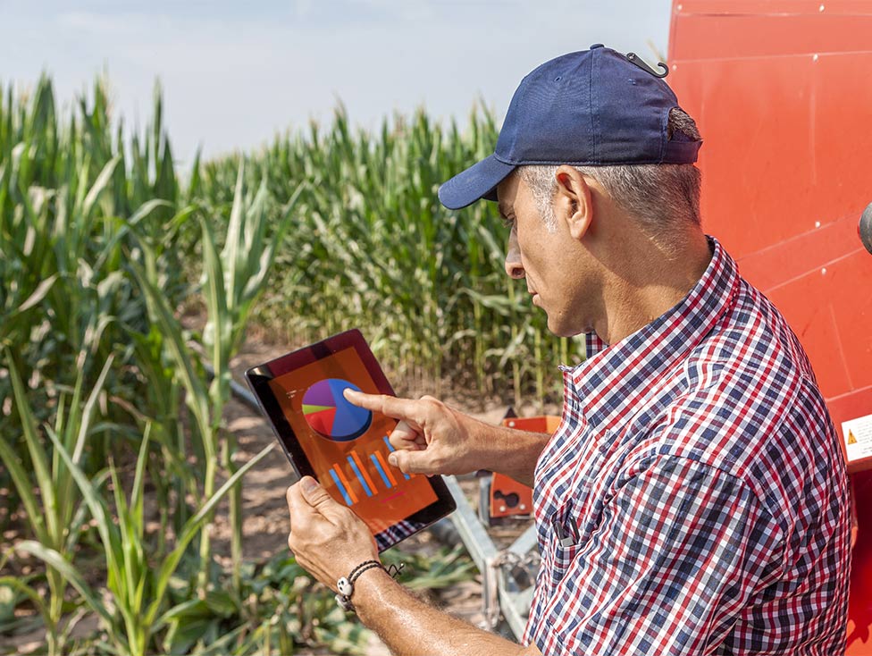 Person gesturing to charts on tablet in a field